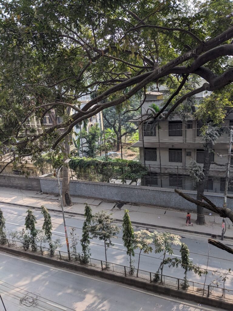 WhatsApp Image 2024-07-14 at 12.45.18_28acd2fb